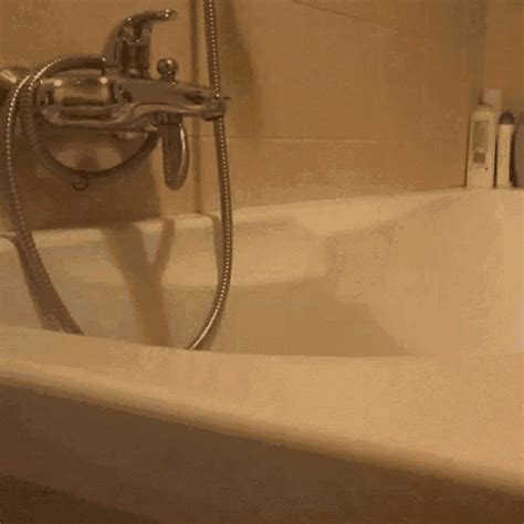 bathtub porn gif|Bathtub Masturbation Porn GIFs 